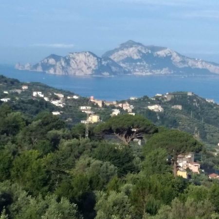 마사루브렌세 La Vista Sul Golfo 아파트 외부 사진