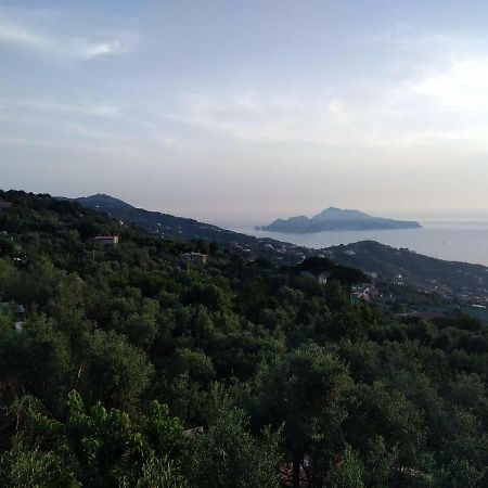 마사루브렌세 La Vista Sul Golfo 아파트 외부 사진
