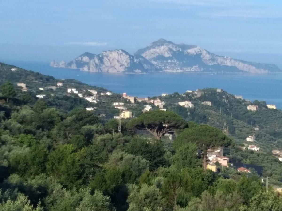 마사루브렌세 La Vista Sul Golfo 아파트 외부 사진