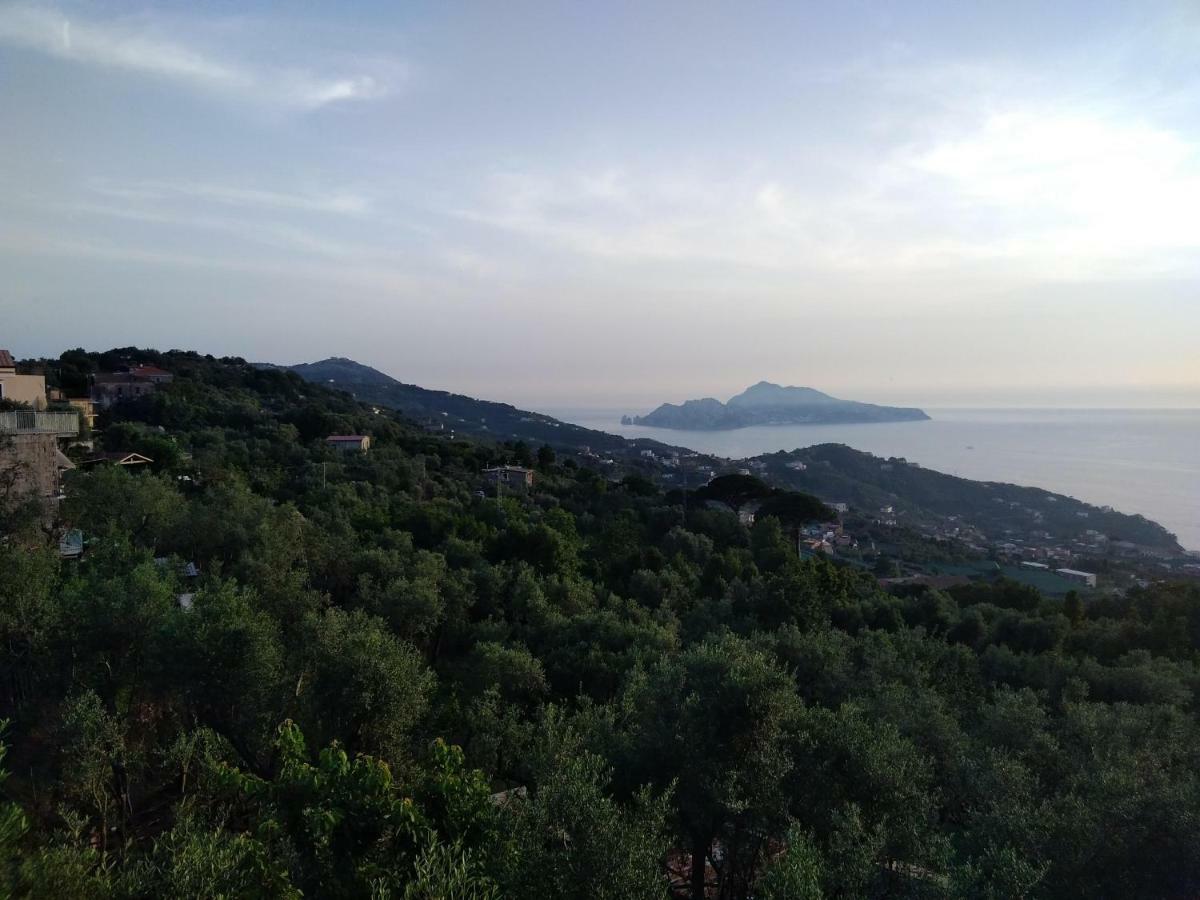 마사루브렌세 La Vista Sul Golfo 아파트 외부 사진