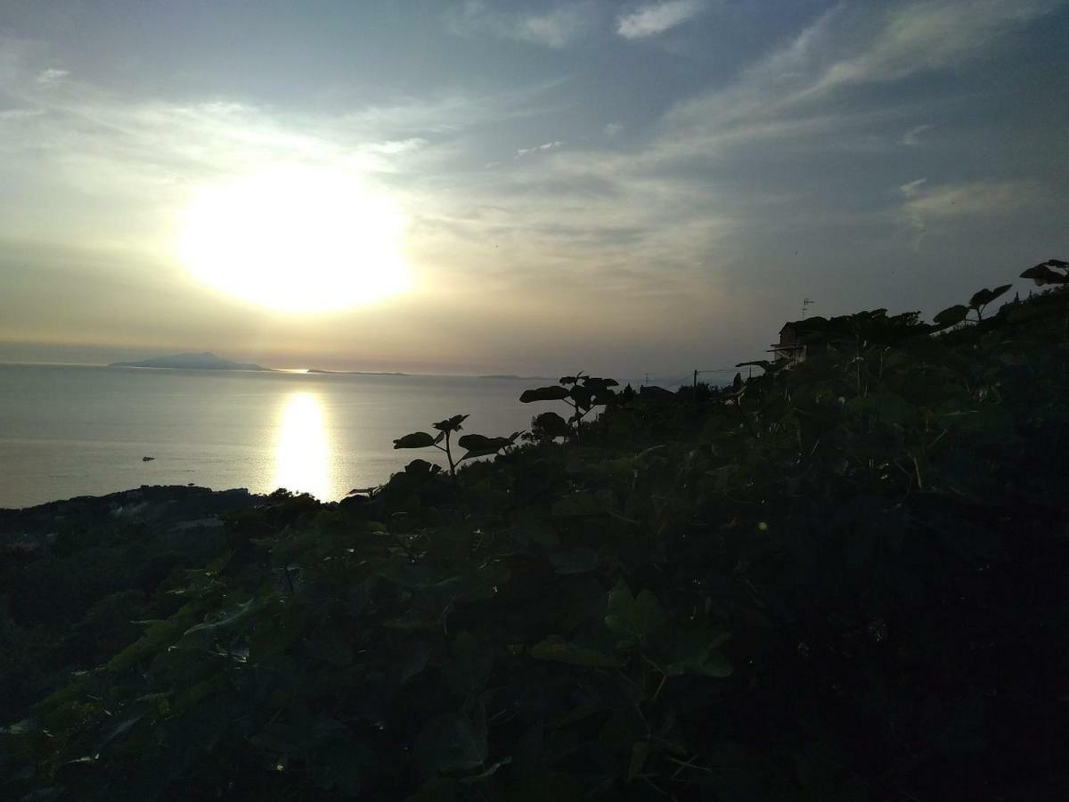 마사루브렌세 La Vista Sul Golfo 아파트 외부 사진